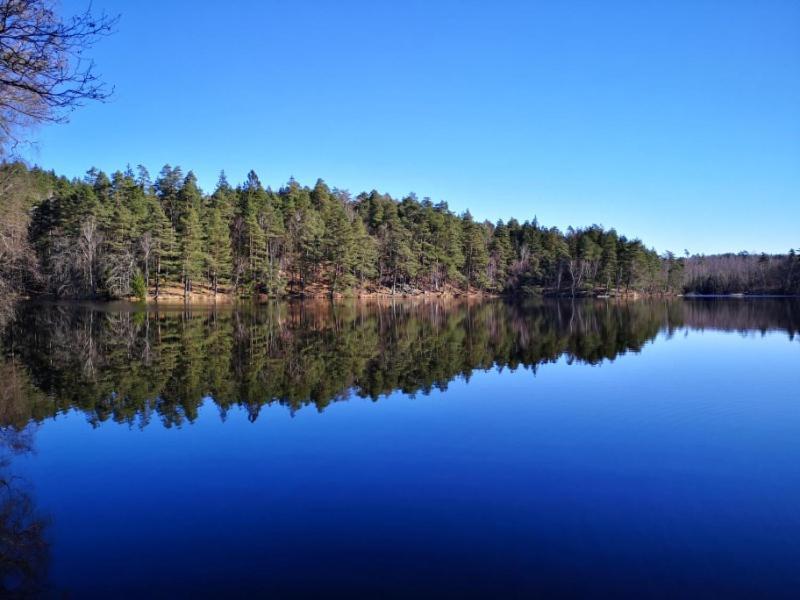 Hagavik 8 Villa Växjö Dış mekan fotoğraf